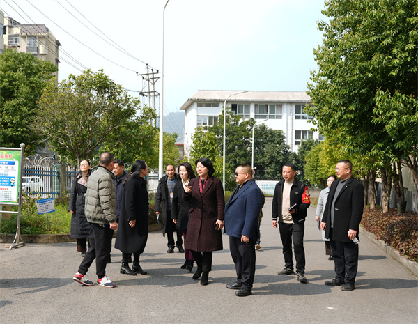 市教委蒋副主任调研