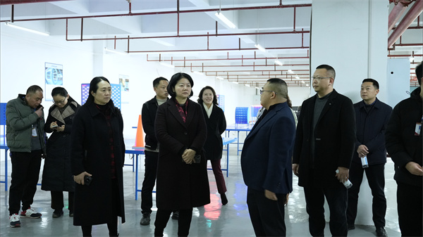 市教委蒋副主任调研