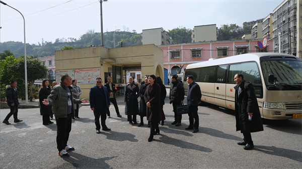 市教委蒋副主任调研