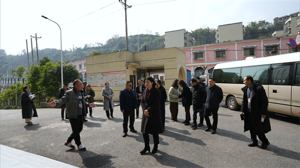 市教委蒋副主任调研