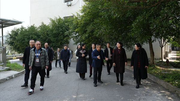 市教委蒋副主任调研