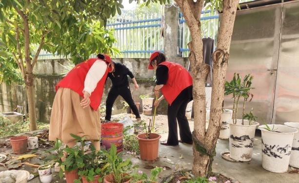 党员先锋齐动手，美丽校园共守护——党员周五卫生大扫除活动